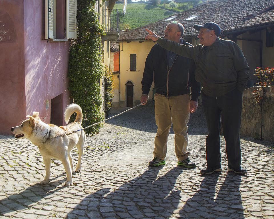 Dimora I Manichei Hotell Monforte dʼAlba Exteriör bild